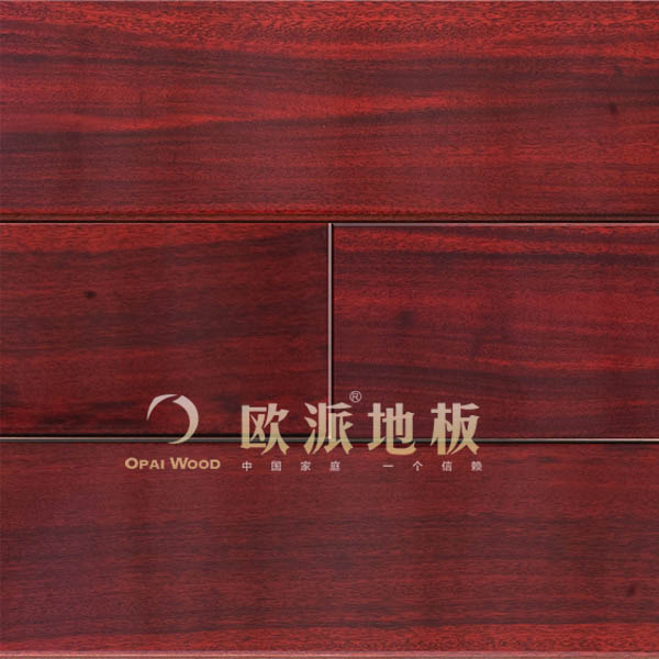 圓盤豆地板