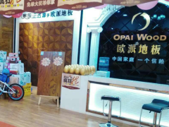 山西陽(yáng)泉?dú)W派地板專(zhuān)賣(mài)店11.18特惠活動(dòng)